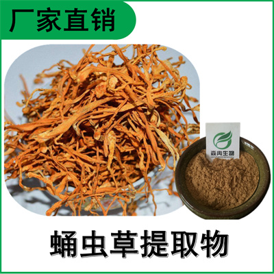 森冉生物 蛹蟲草提取物 蛹蟲草多糖 北蟲草提取物