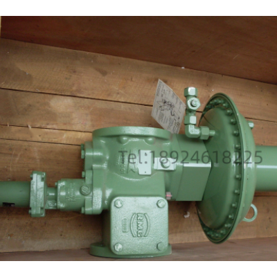 RMG361調壓器減壓閥720K1a備件包維修包